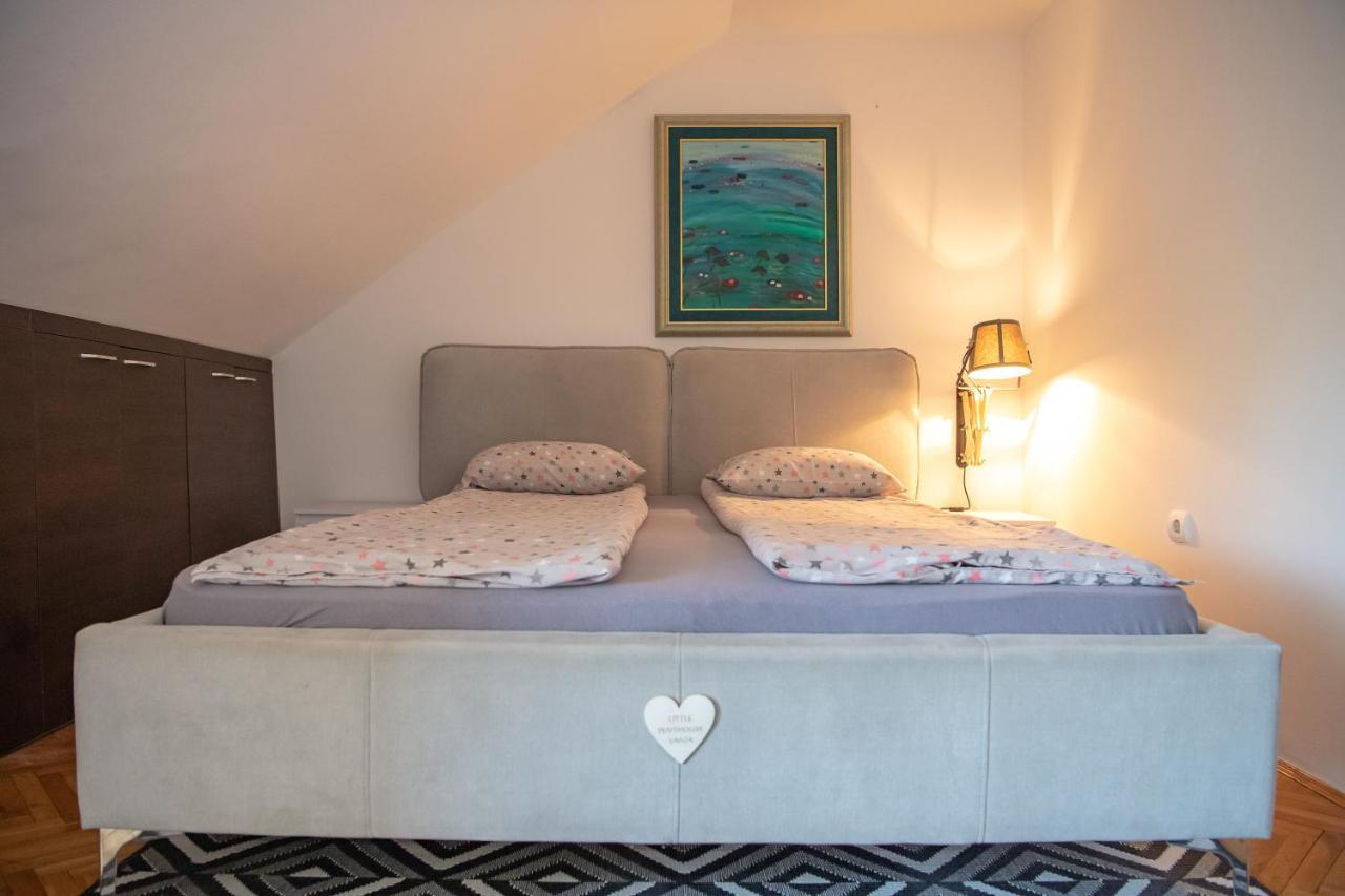 Marina Penthouse Apartment Novi Sad Luaran gambar