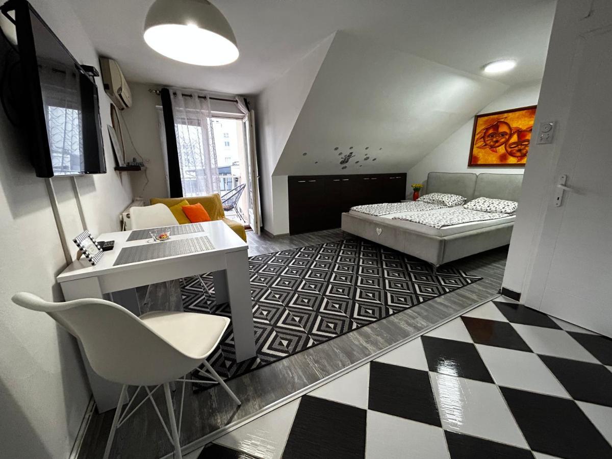 Marina Penthouse Apartment Novi Sad Luaran gambar